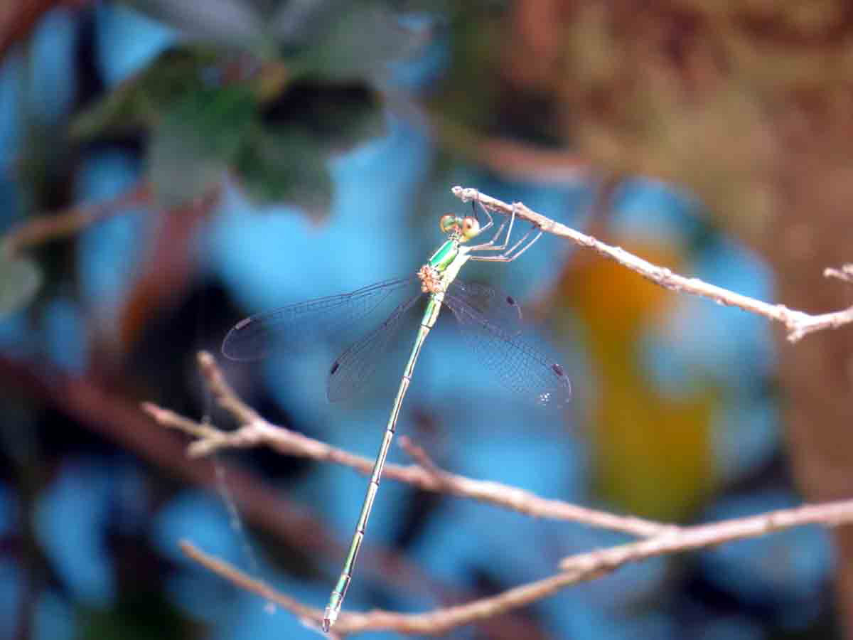 ���悤������������Ⴂ�܂����I