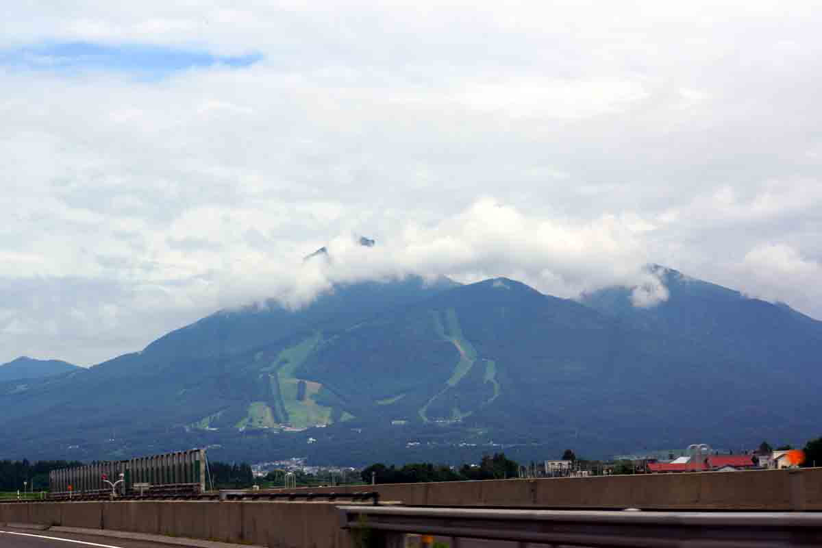 ���悤������������Ⴂ�܂����I