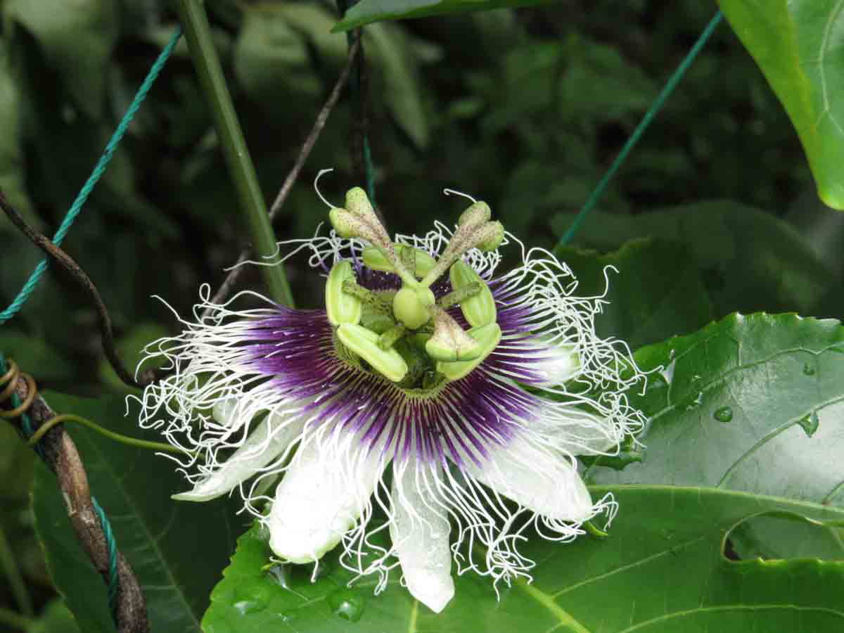 ���悤������������Ⴂ�܂����I