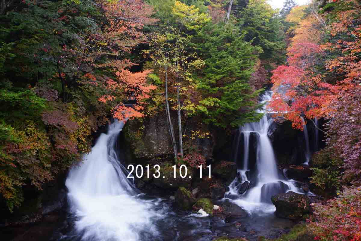 ���悤������������Ⴂ�܂����I