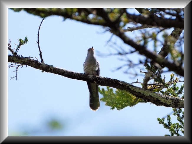 ���悤������������Ⴂ�܂����I