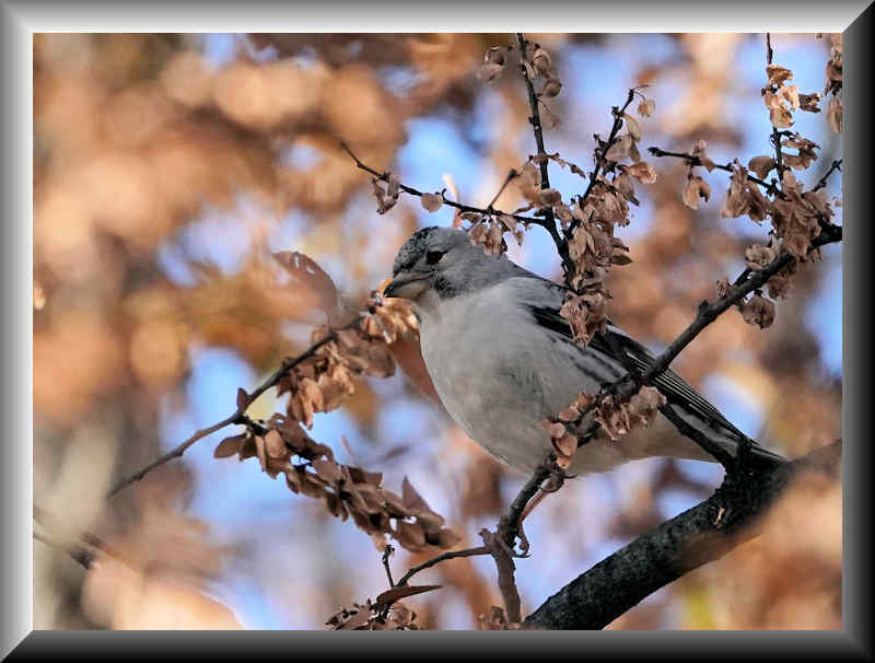 ���悤������������Ⴂ�܂����I