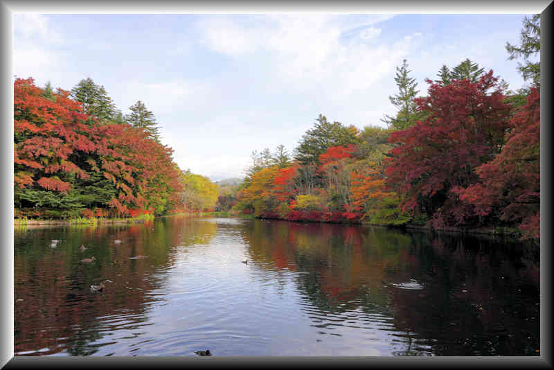 ���悤������������Ⴂ�܂����I