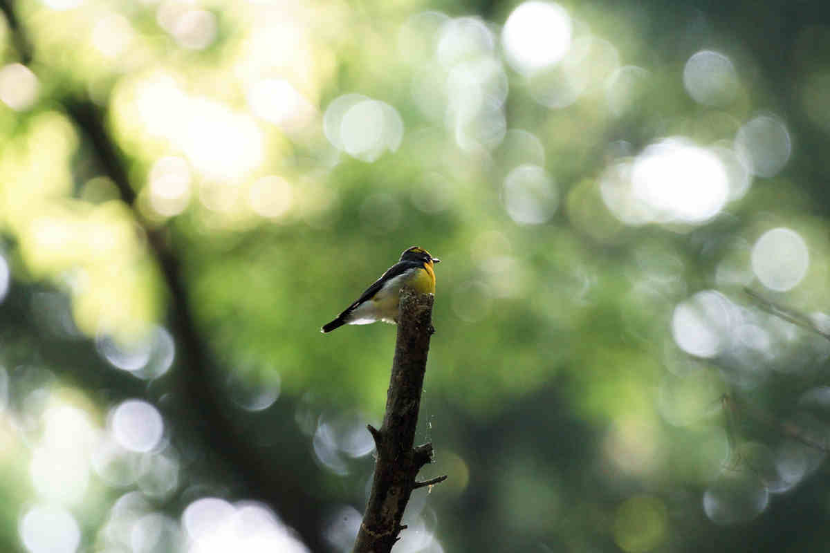 ���悤������������Ⴂ�܂����I