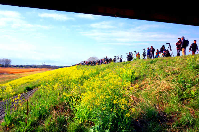 ���悤������������Ⴂ�܂����I