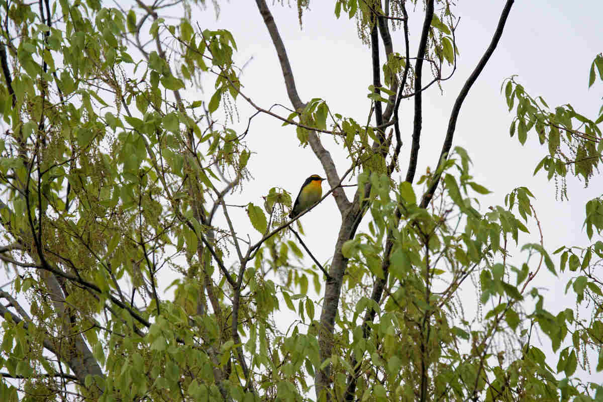 ���悤������������Ⴂ�܂����I