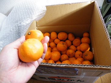 ���b�N�V�b�v�E�J���^�[�r��