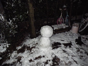 ���b�N�V�b�v�E�J���^�[�r��