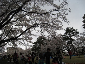 ���b�N�V�b�v�E�J���^�[�r��