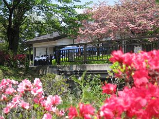 ���b�N�V�b�v�E�J���^�[�r��