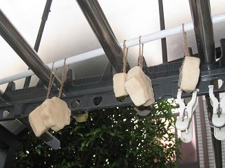 ���b�N�V�b�v�E�J���^�[�r��