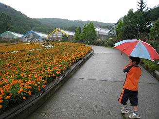 ���b�N�V�b�v�E�J���^�[�r��