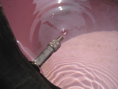 ���b�N�V�b�v�E�J���^�[�r��