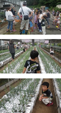 ���b�N�V�b�v�E�J���^�[�r��