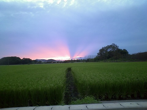 ���b�N�V�b�v�E�J���^�[�r��