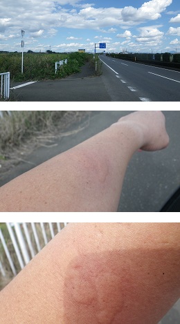 ���b�N�V�b�v�E�J���^�[�r��