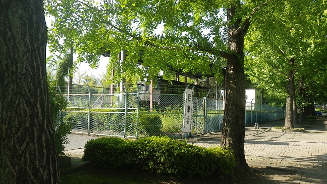 ���b�N�V�b�v�E�J���^�[�r��