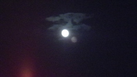 ���b�N�V�b�v�E�J���^�[�r��