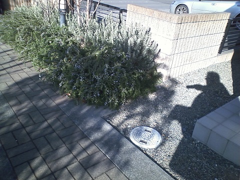 ���b�N�V�b�v�E�J���^�[�r��