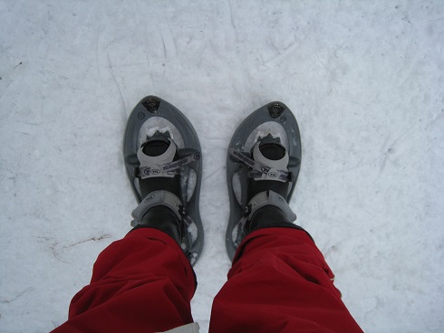 ���b�N�V�b�v�E�J���^�[�r��