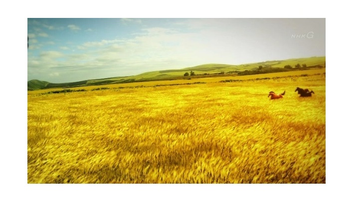 ���b�N�V�b�v�E�J���^�[�r��