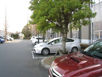 ���b�N�V�b�v�E�J���^�[�r��