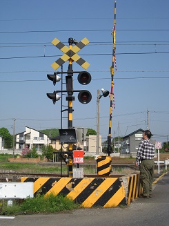 ���b�N�V�b�v�E�J���^�[�r��