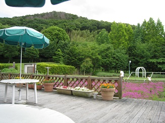 ���b�N�V�b�v�E�J���^�[�r��