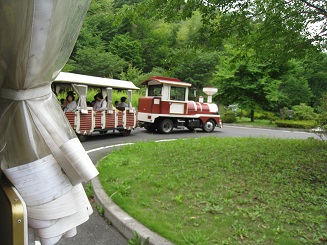 ���b�N�V�b�v�E�J���^�[�r��