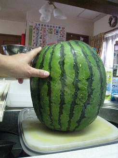 ���b�N�V�b�v�E�J���^�[�r��