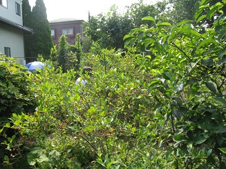 ���b�N�V�b�v�E�J���^�[�r��