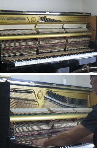 ���b�N�V�b�v�E�J���^�[�r��