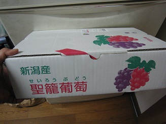 ���b�N�V�b�v�E�J���^�[�r��