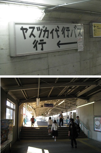 ���b�N�V�b�v�E�J���^�[�r��