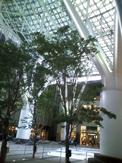 ���b�N�V�b�v�E�J���^�[�r��