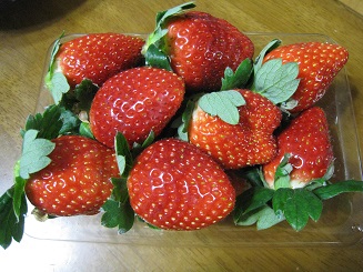 ���b�N�V�b�v�E�J���^�[�r��