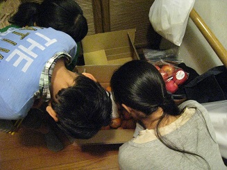 ���b�N�V�b�v�E�J���^�[�r��