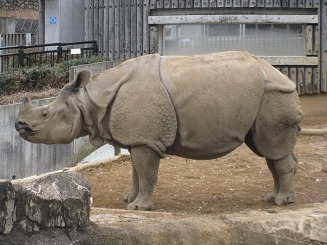 ���b�N�V�b�v�E�J���^�[�r��