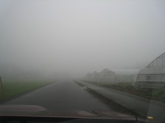 ���b�N�V�b�v�E�J���^�[�r��