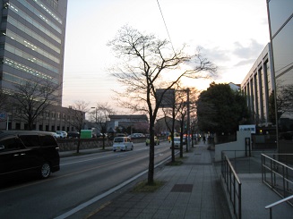 ���b�N�V�b�v�E�J���^�[�r��