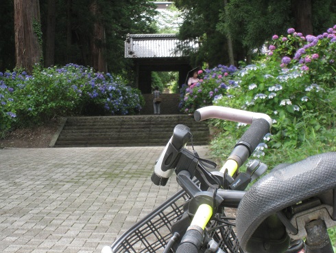 ���b�N�V�b�v�E�J���^�[�r��