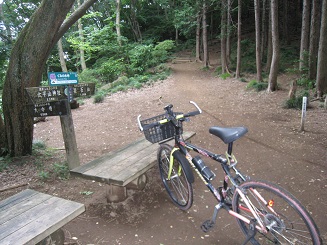 ���b�N�V�b�v�E�J���^�[�r��