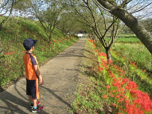 ���b�N�V�b�v�E�J���^�[�r��