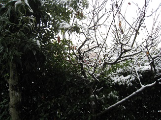 ���b�N�V�b�v�E�J���^�[�r��