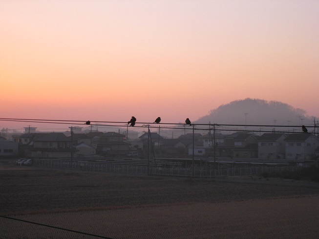 ���b�N�V�b�v�E�J���^�[�r��