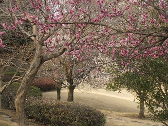 ���b�N�V�b�v�E�J���^�[�r��