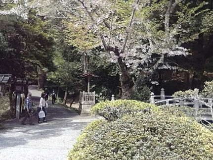 ���b�N�V�b�v�E�J���^�[�r��