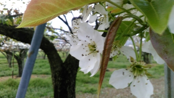 ���b�N�V�b�v�E�J���^�[�r��