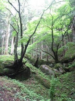 ���b�N�V�b�v�E�J���^�[�r��