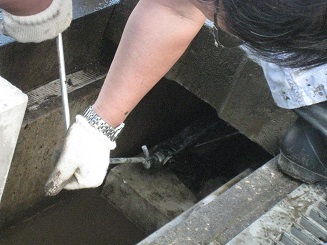 ���b�N�V�b�v�E�J���^�[�r��